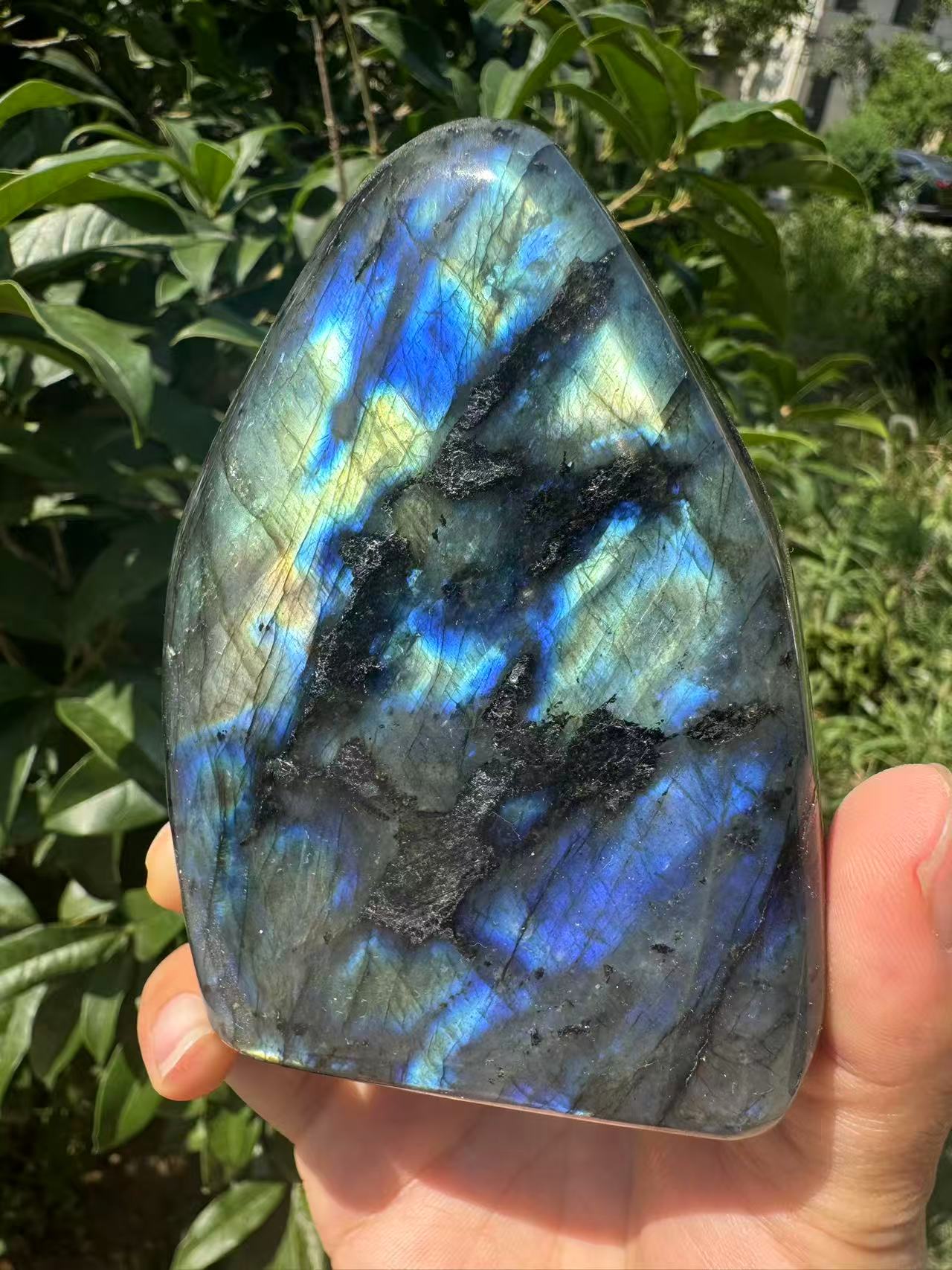 A00013 Natural full blue flash labradorite free form