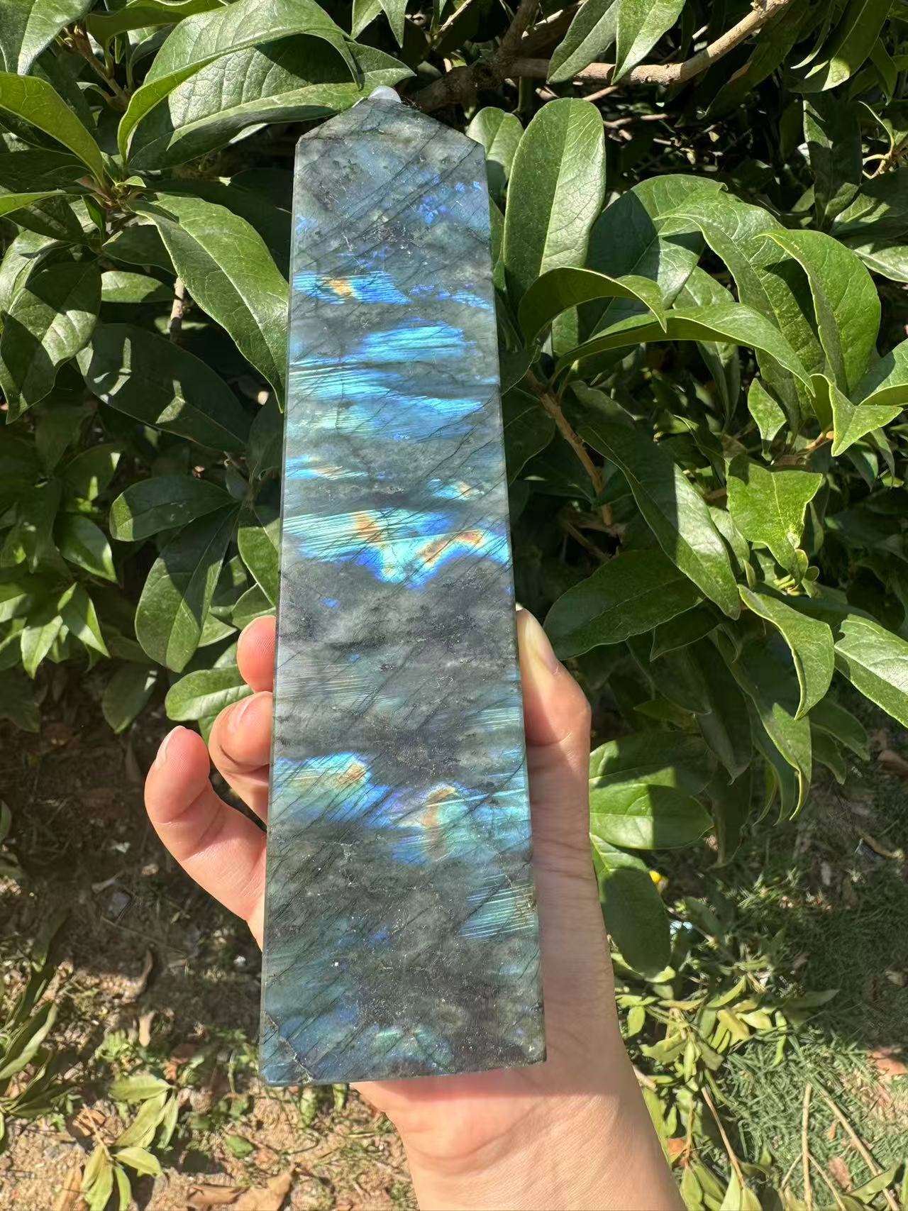 A00013 Natural full blue flash labradorite Tower point
