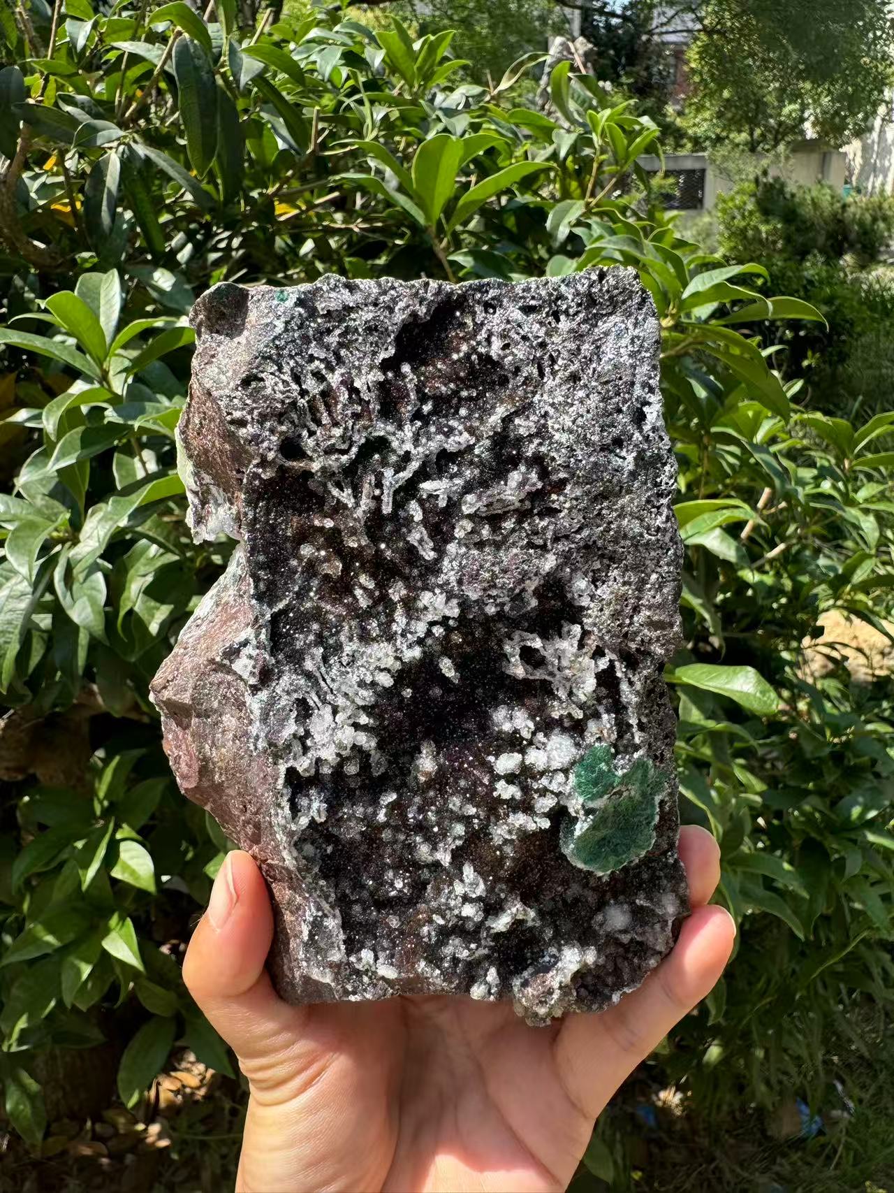 A00021 Natural blue berry malachite mineral specimen