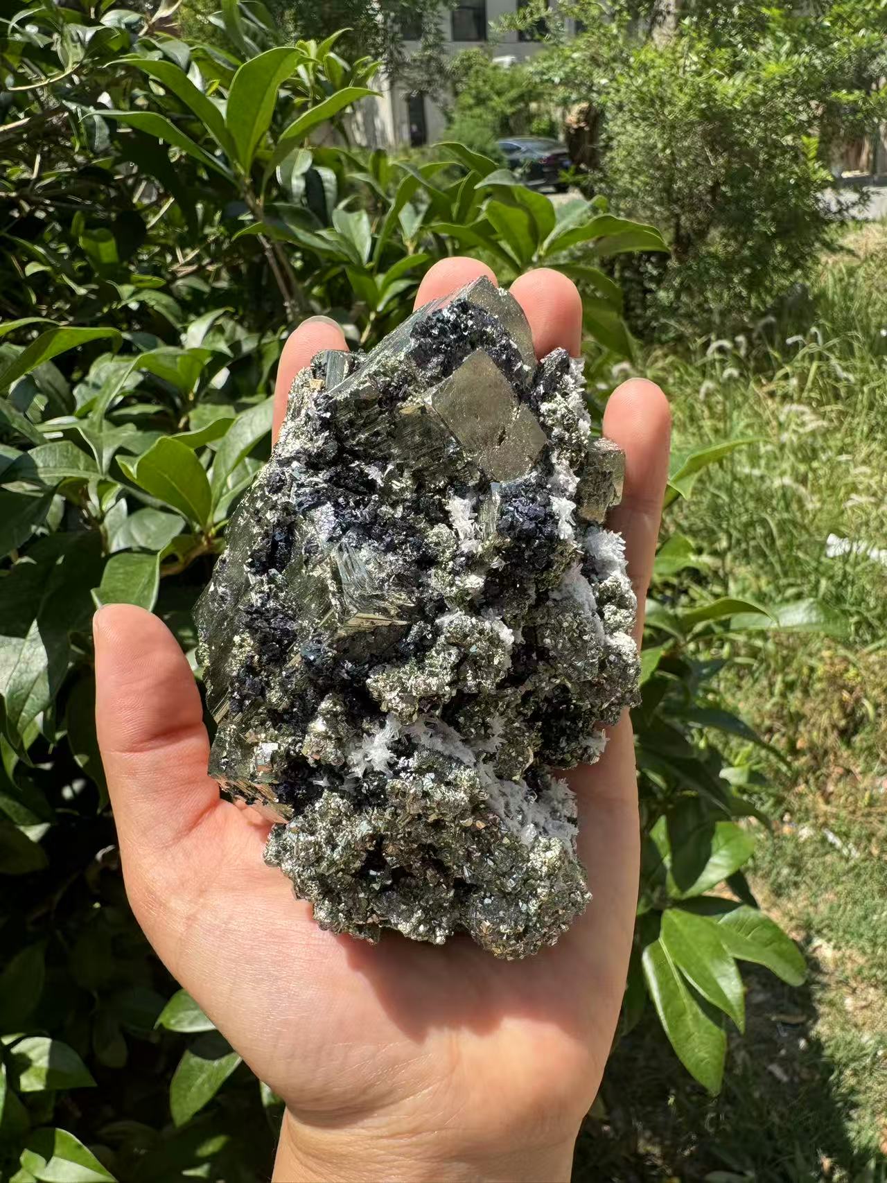 A00025 Natural cube pyrite mixed specularite mineral specimen mixed quartz