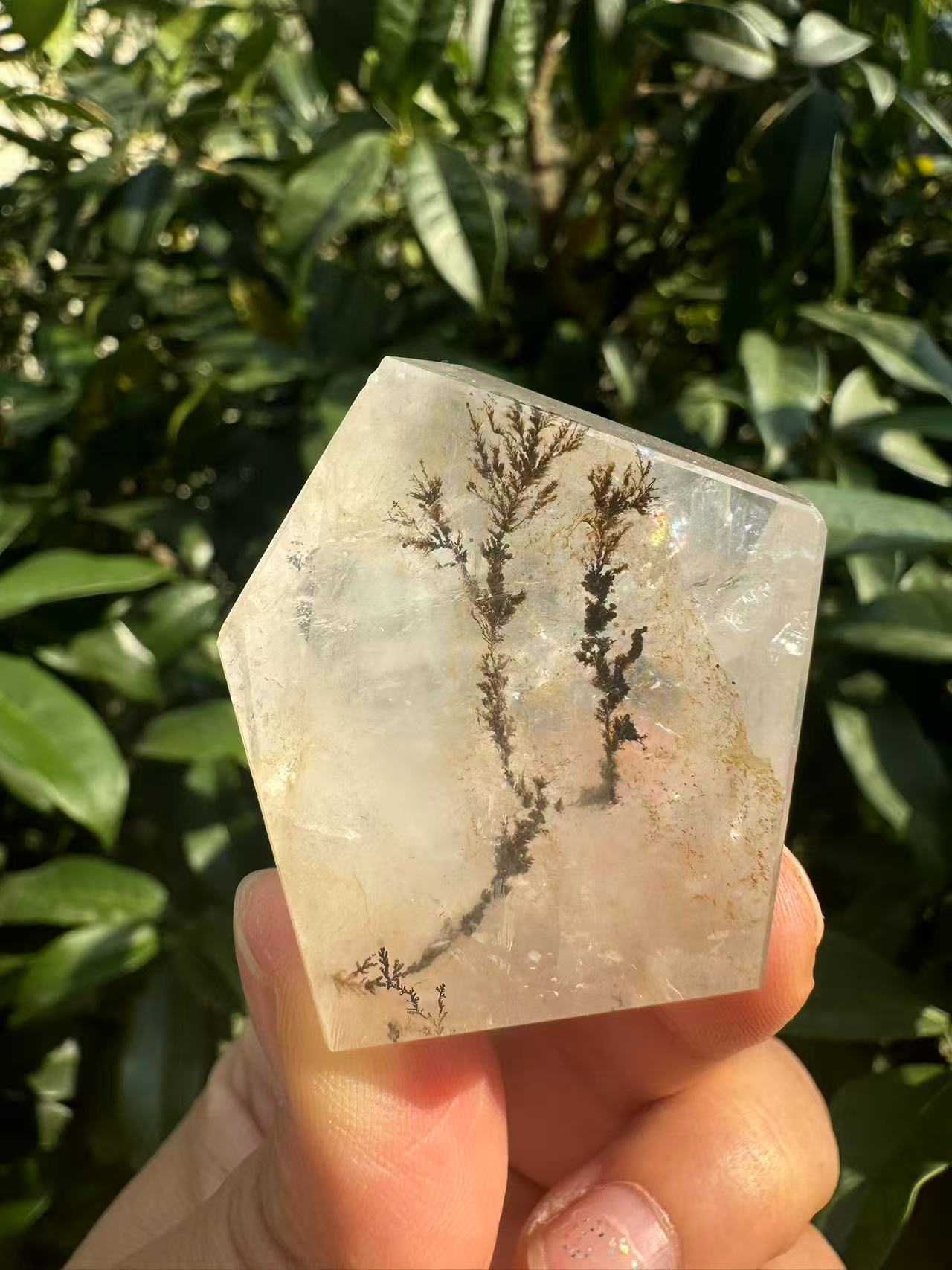 A00028 pretty natural dentritic tree golden healer freeform