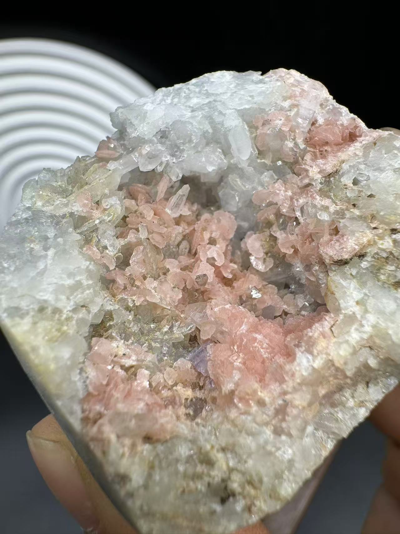 A00040 rare petals shape rhodochrosite mixed quartz and purple flourite mineral