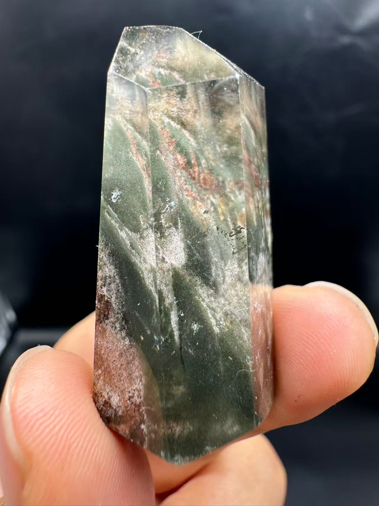 A00061 phantom thousand layer four season tree garden from brazil