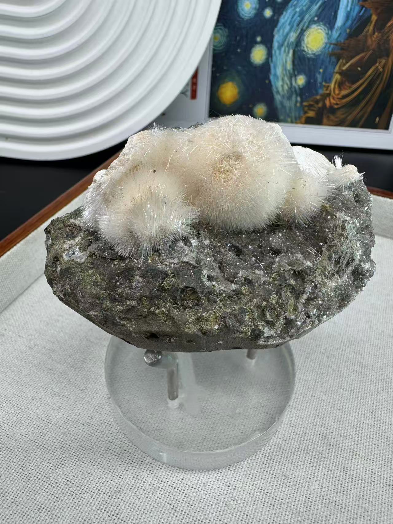 A00076 soo cute dandelion thomsonite natural specimen