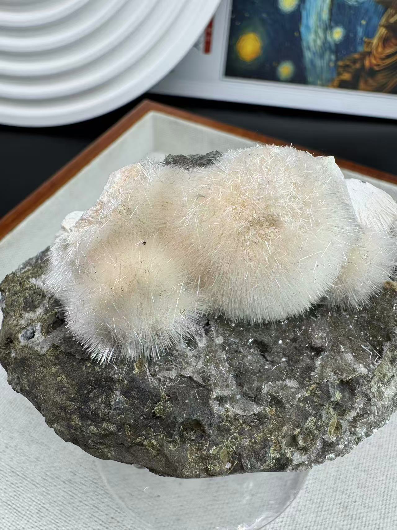 A00076 soo cute dandelion thomsonite natural specimen