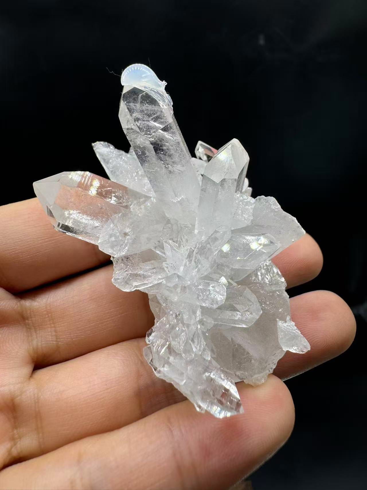 A00090 rare AAA clarity himalaya flower cluster (excellent )