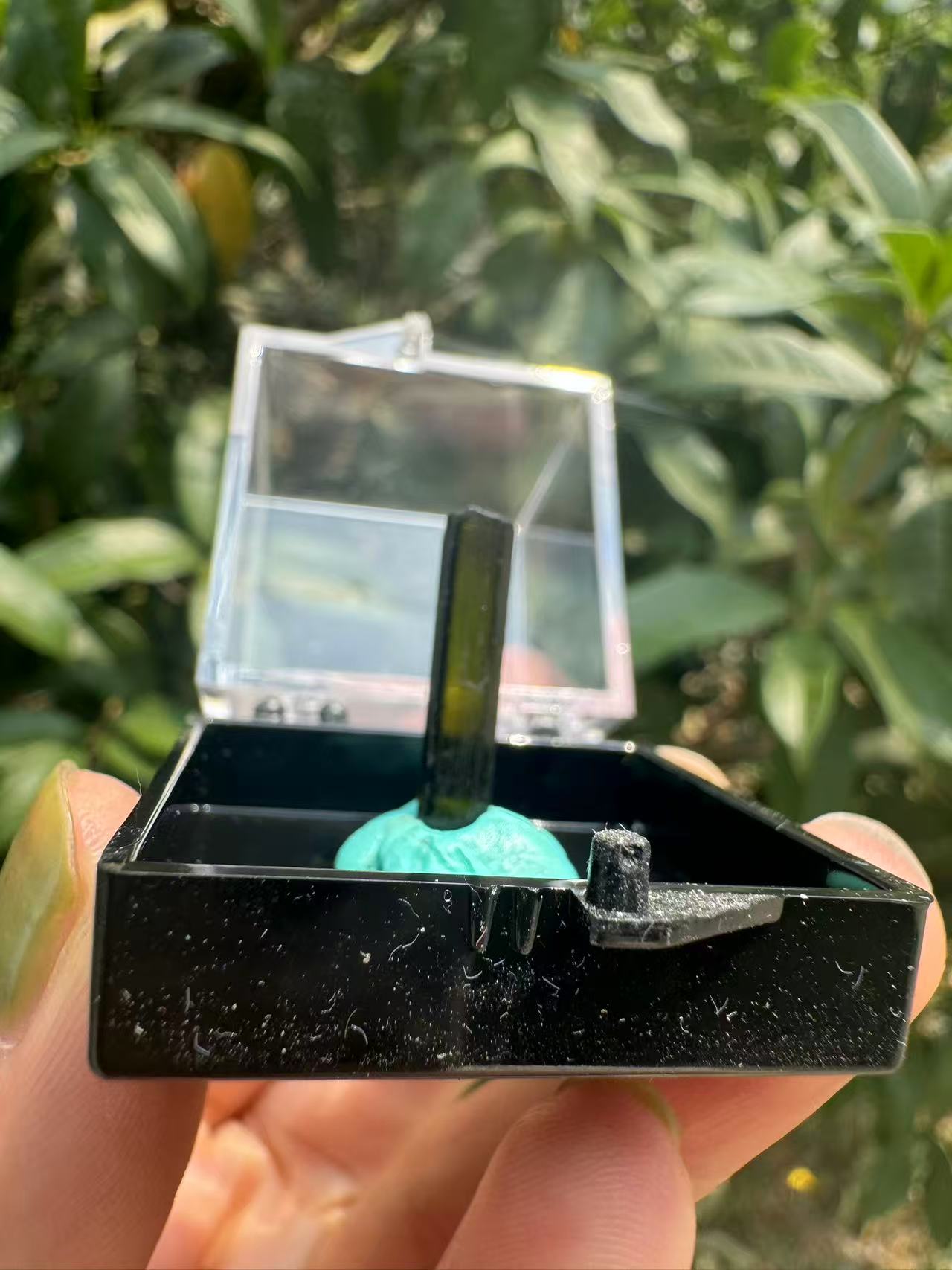 A00107 rare clear green tourmaline point (free box)