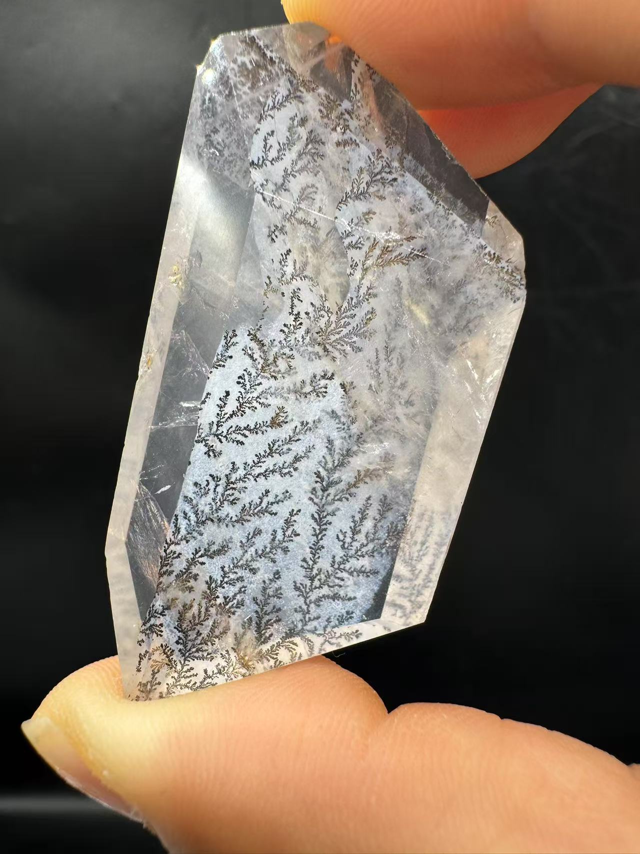 A00115 rare unique dentritic tree golden healer handcrystal