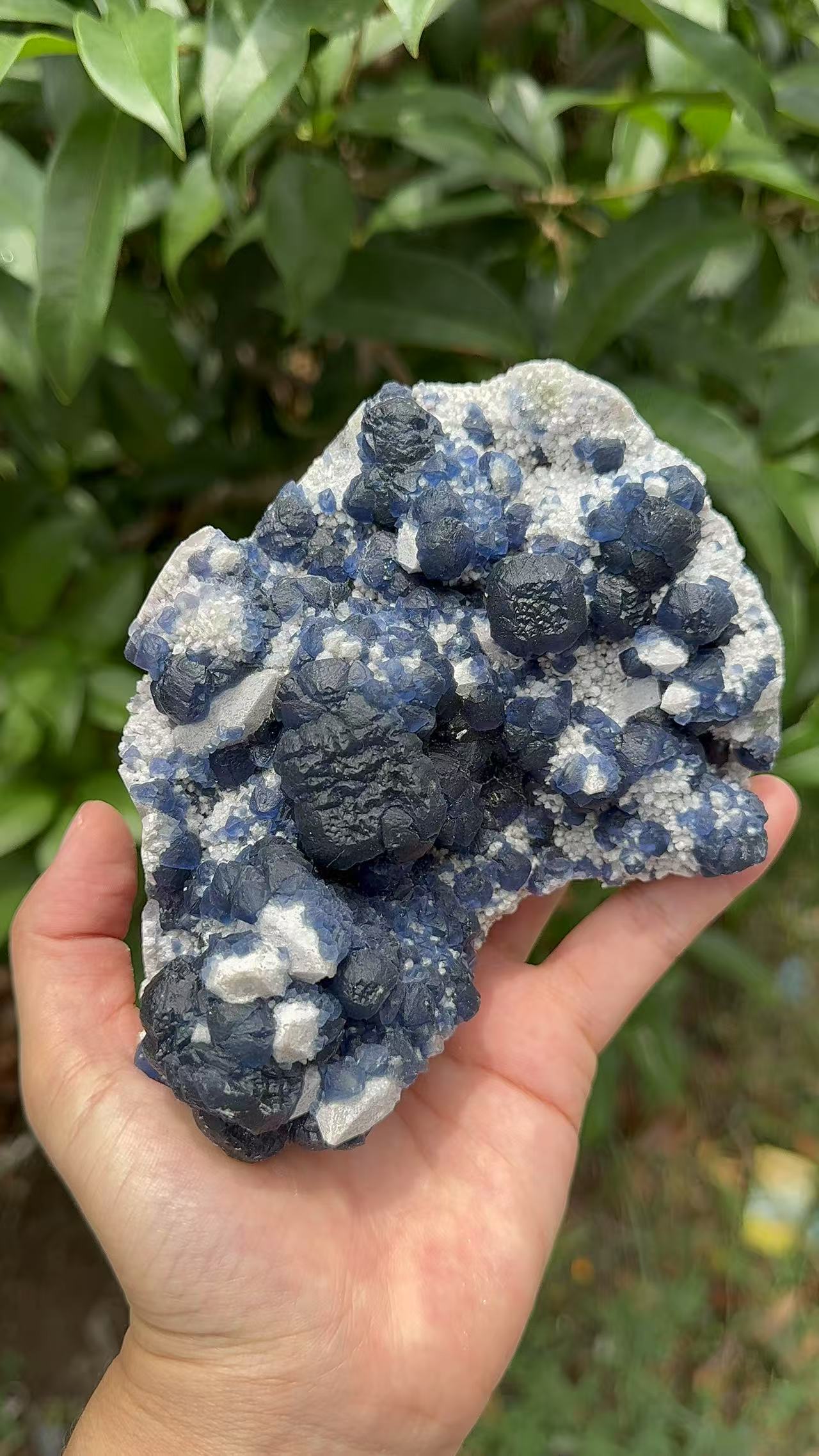 A00117 natural RARE HIGHER QUALITY BLUEberryfluorite mixed candle quartz