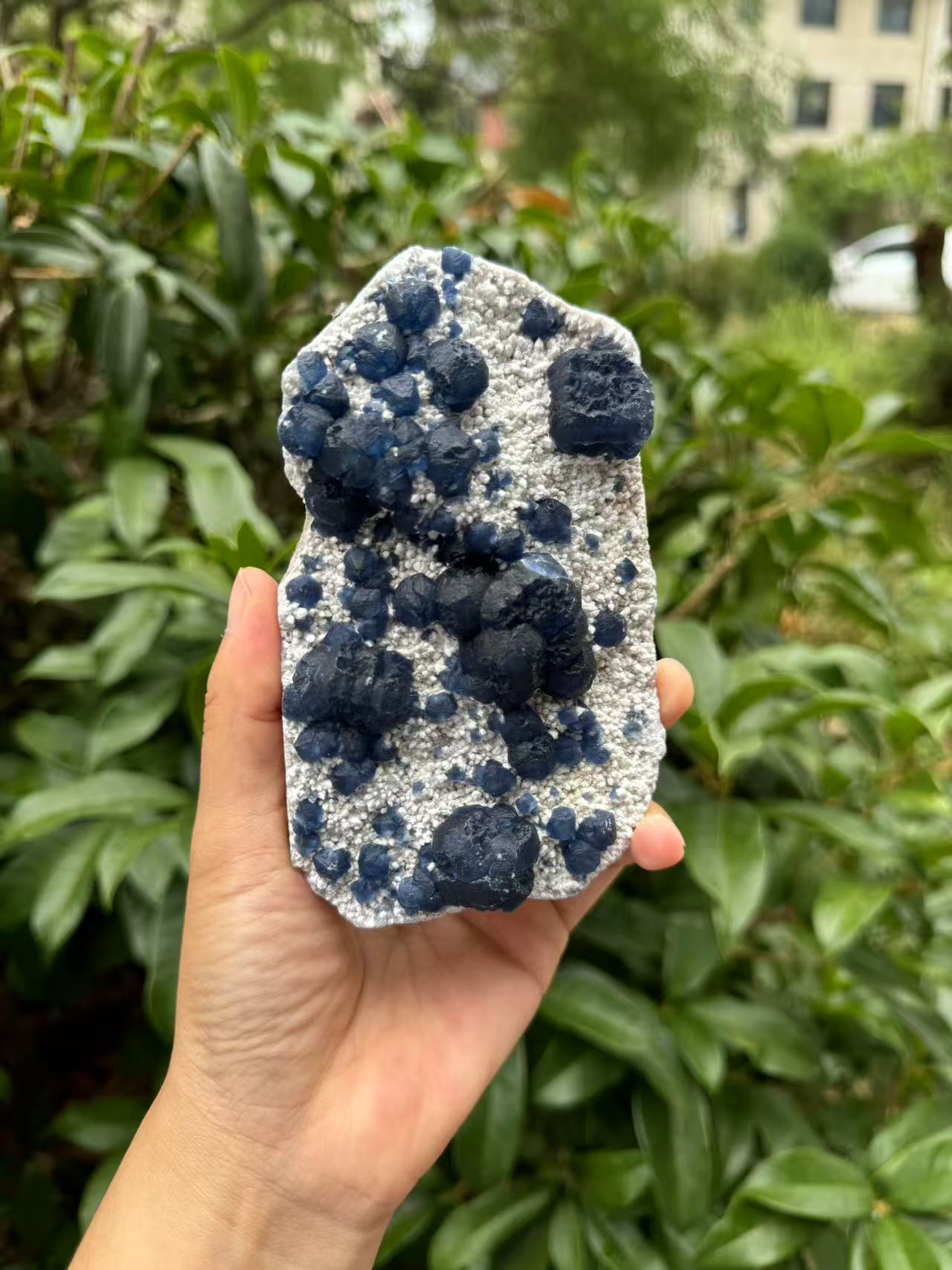 A00118 natural RARE HIGHER QUALITY BLUEberryfluorite mixed candle quartz
