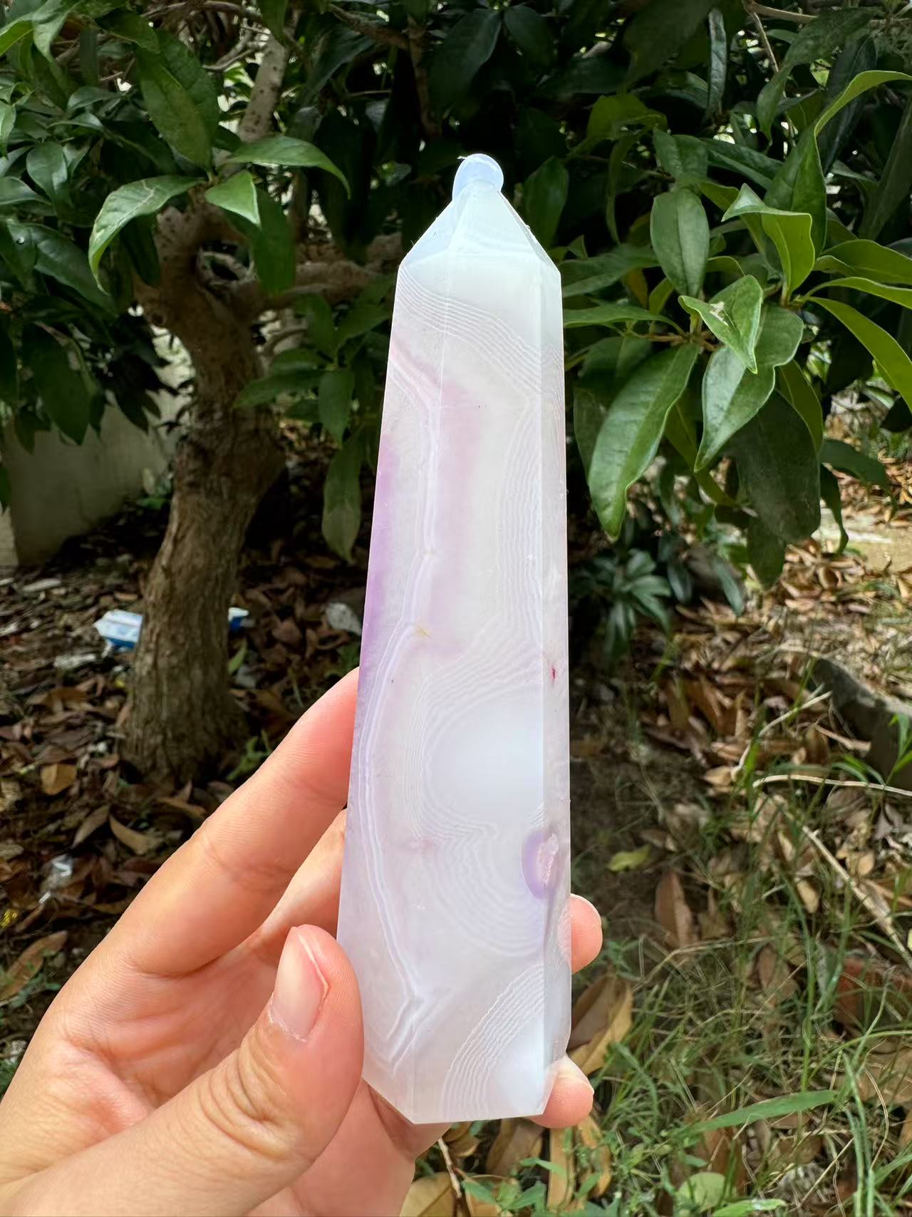 A00121 pretty pink jelly agate with beautiful bandding