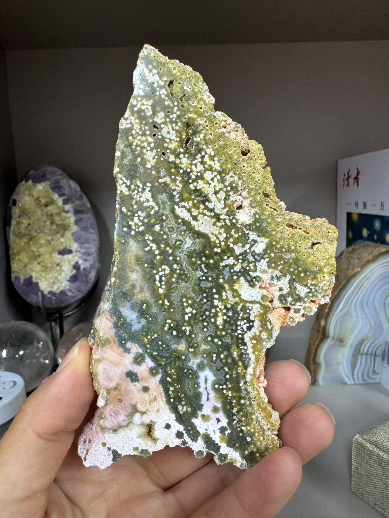 A00133 rare beautiful pin grenn 8th-ocean jasper slab