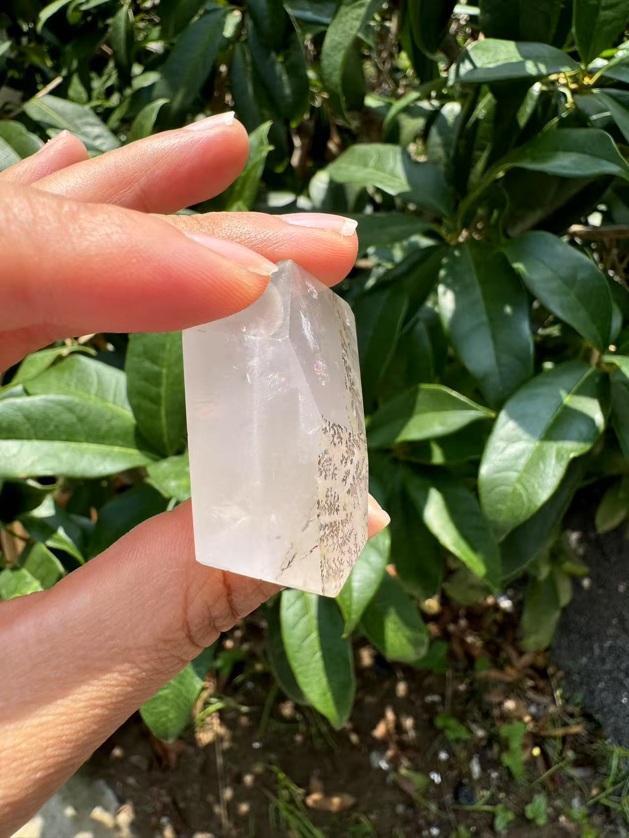 A00140 rare beautiful dentritic tree golden healer