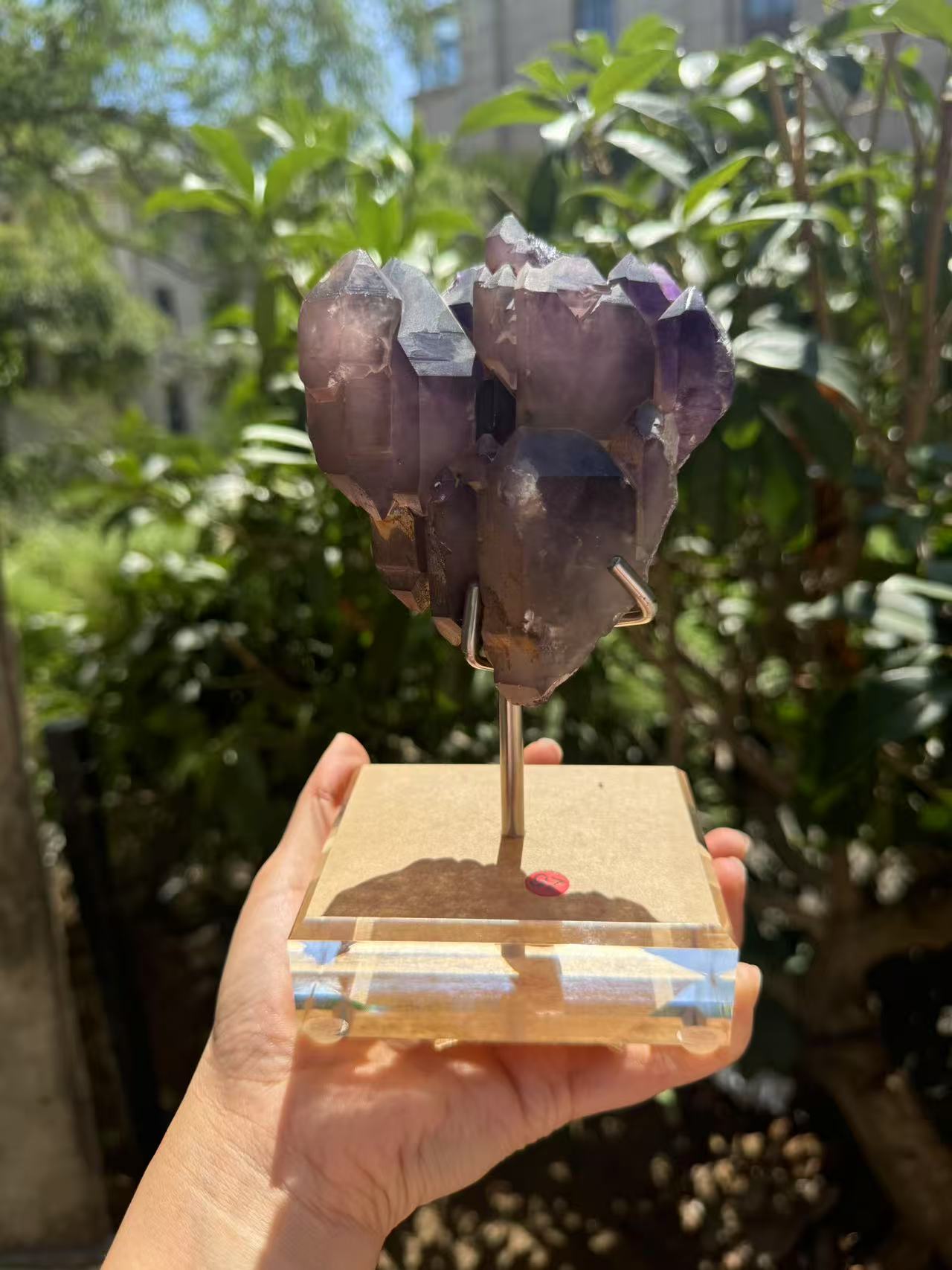 A00164 rare oldest mysterious purple amethyst skeleton quartz with ladder pattern serface