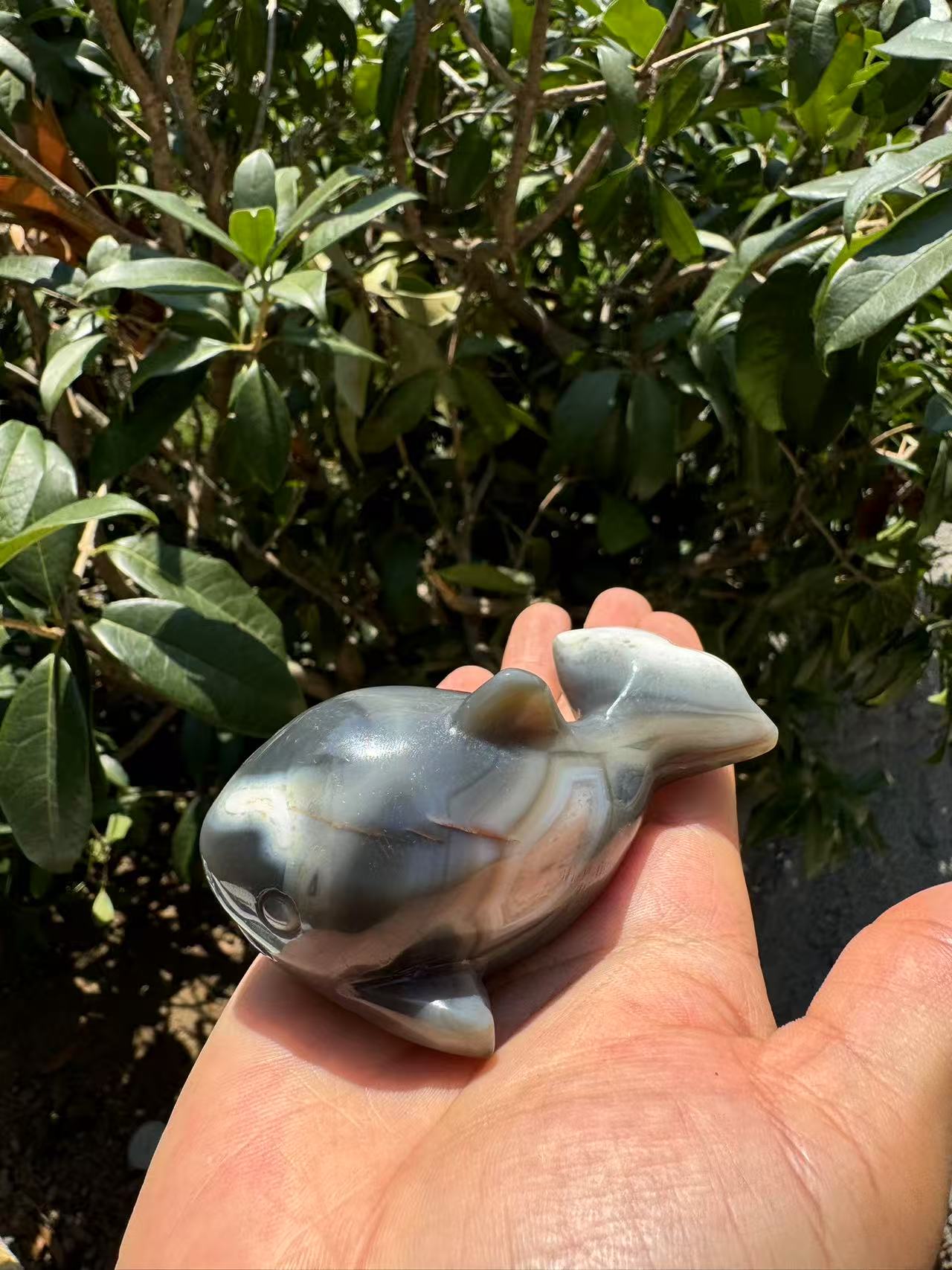 A00173 VERY beautiful oca agate whale animal carving with good painting