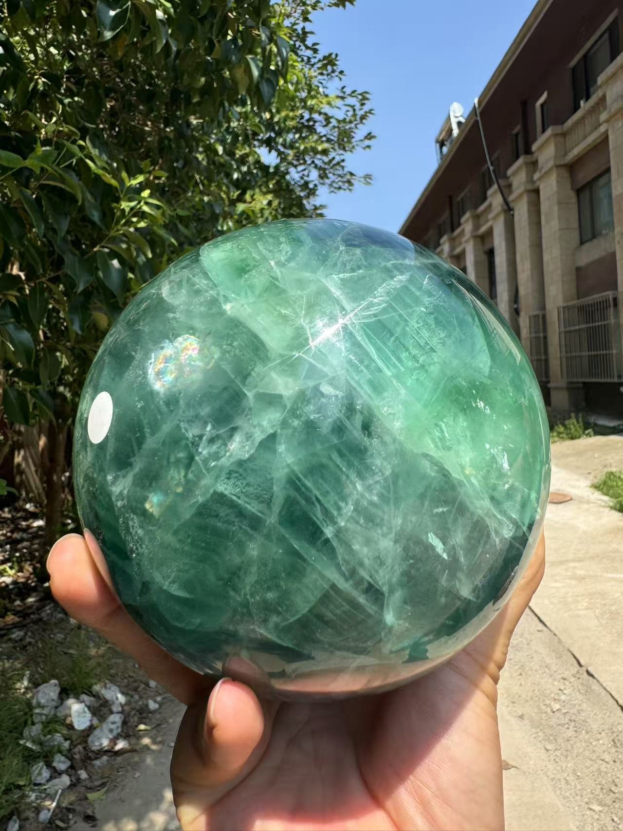 A00176 rare natural gradient color (green to blue )fluorite high quality xxl sphere