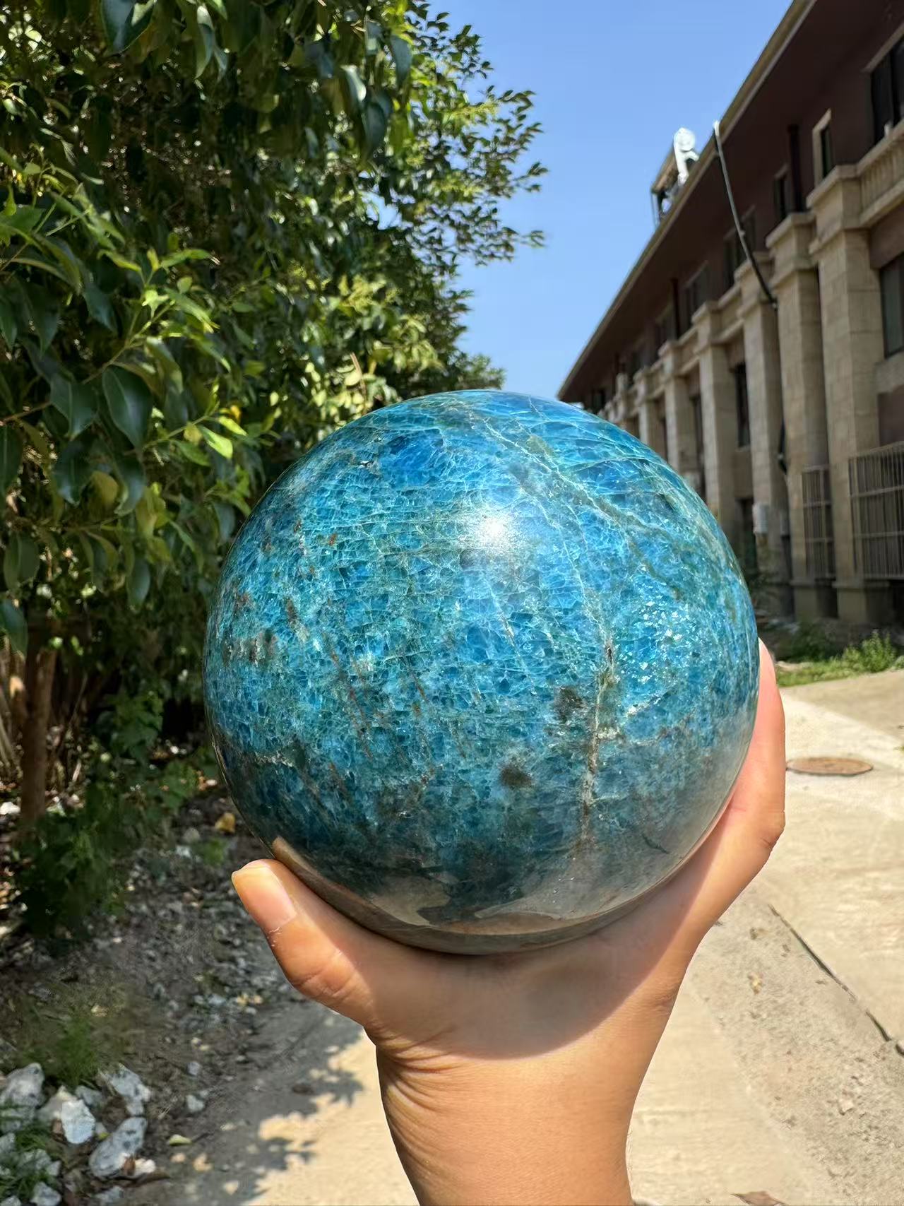 A00177 rare natural shiny star moon flash blue apatite high quality xxxl sphere