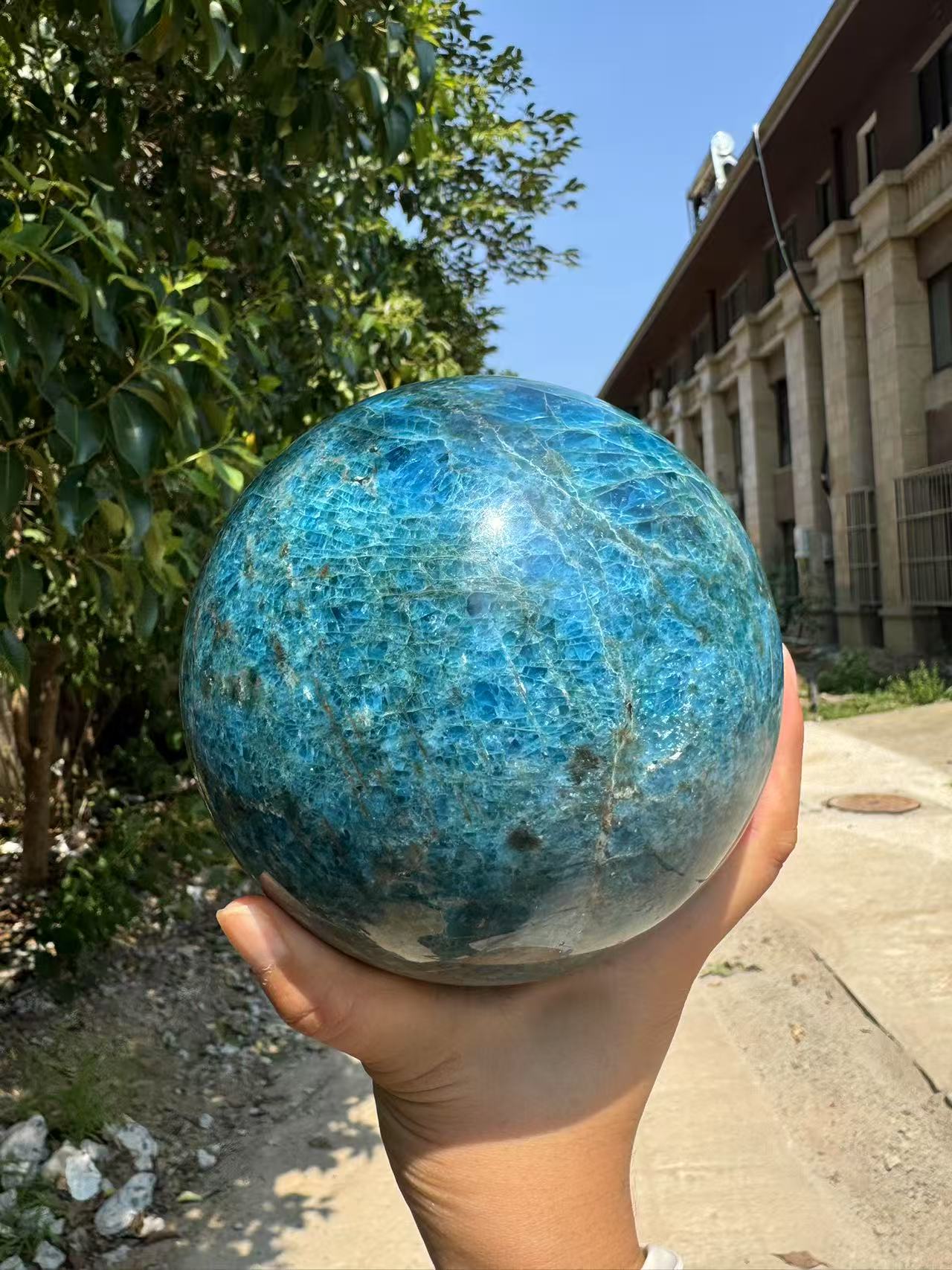 A00177 rare natural shiny star moon flash blue apatite high quality xxxl sphere