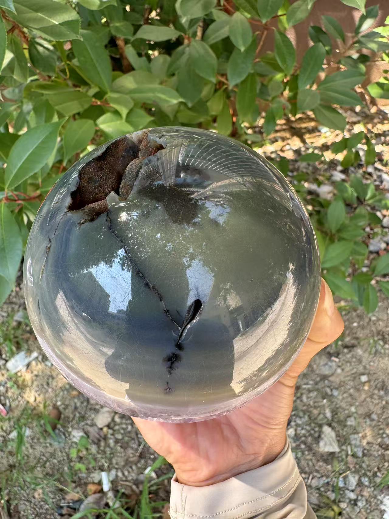 A00178 rare natural open mouth druzy amethyst agate xl sphere mixed dentritic tree