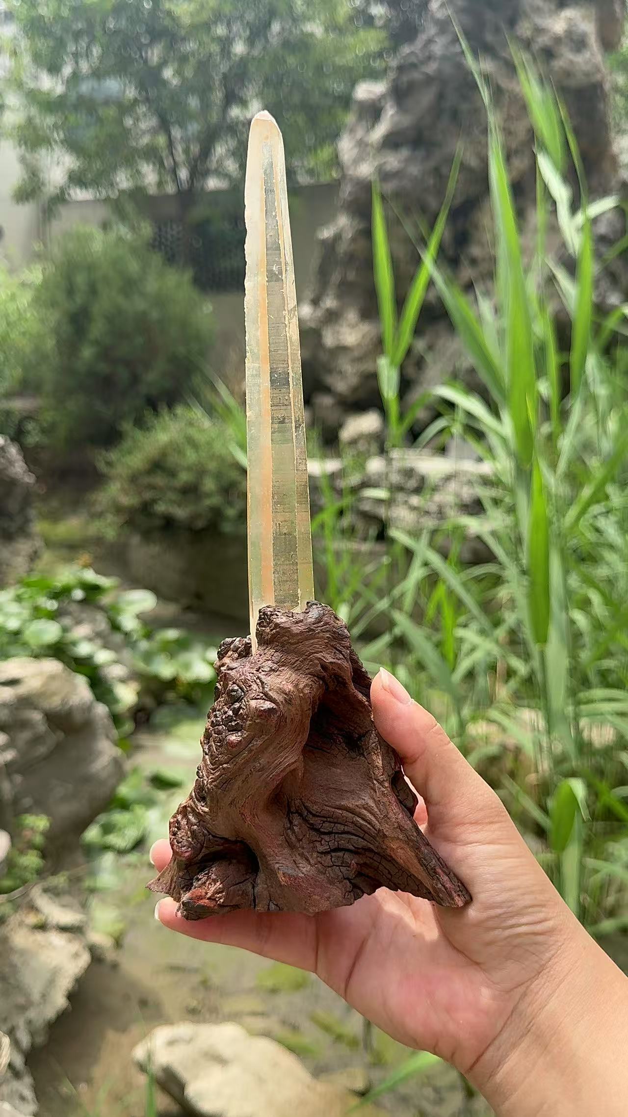A00205 Rare natural highest quality lemurian quartz with customed wooden holder