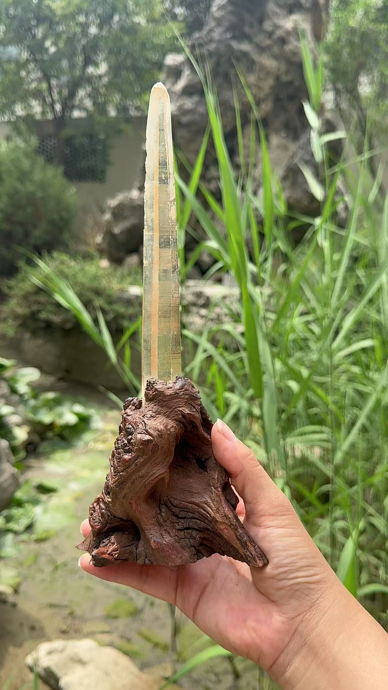 A00205 Rare natural highest quality lemurian quartz with customed wooden holder