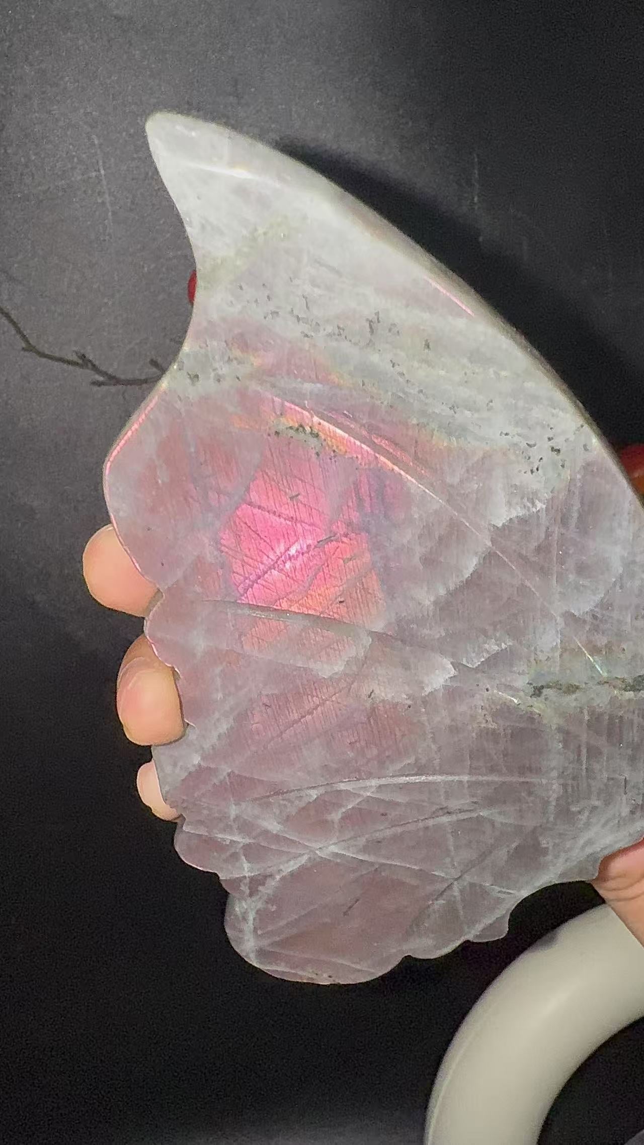 A00224 Rare natural highest quality strong purple sun flash labradorite butterfly wings with custom-made gold matal holder