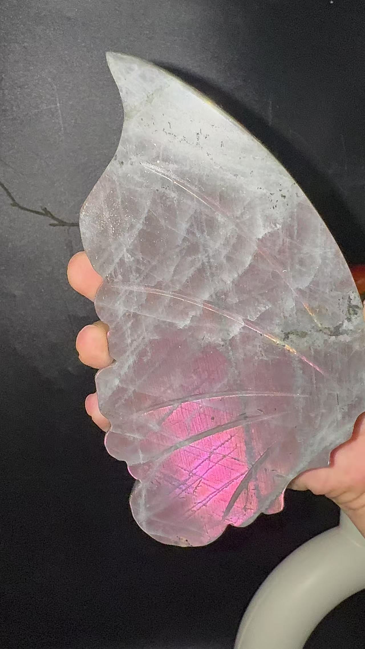 A00224 Rare natural highest quality strong purple sun flash labradorite butterfly wings with custom-made gold matal holder