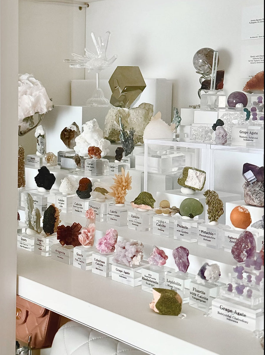 COLLECTIONS