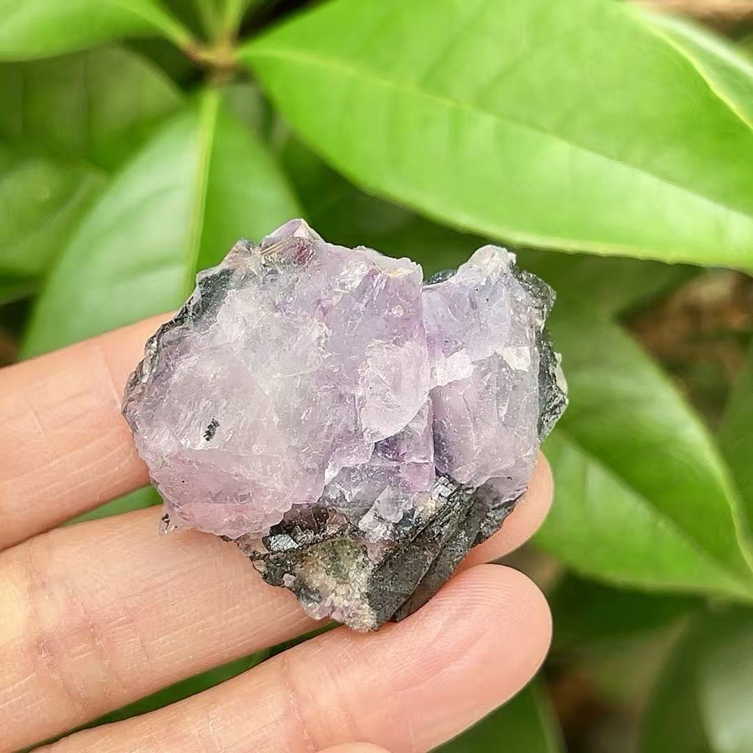 5A40G    Amethyst & Black Tourmaline Intergrowth