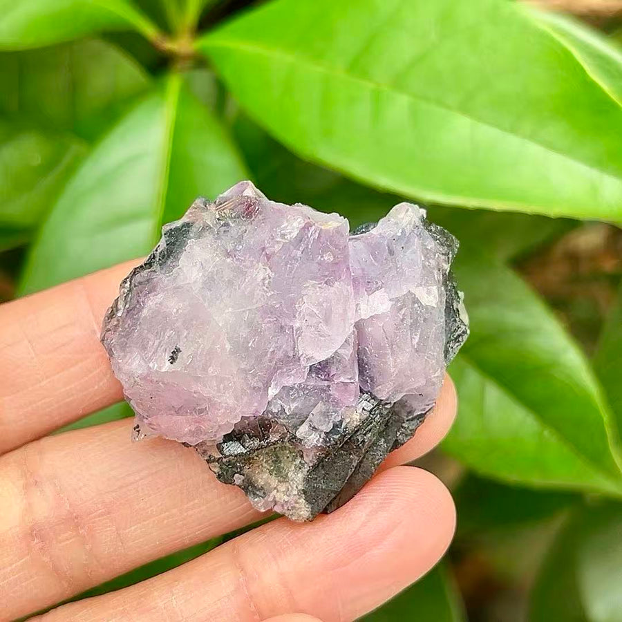 5A40G    Amethyst & Black Tourmaline Intergrowth