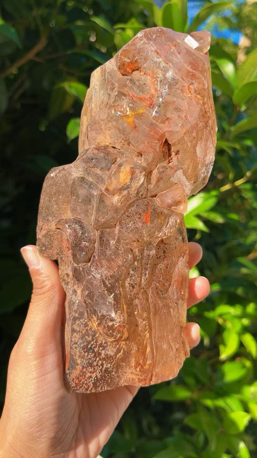 5A 1530G   Natural Red Mud  Sea Bone