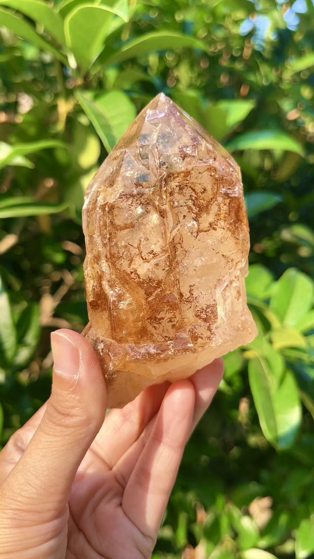 5A 490G    Natural  Citrine Skeleton