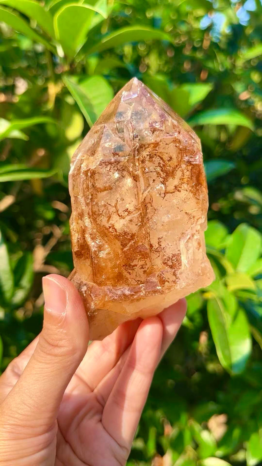 5A 490G    Natural  Citrine Skeleton