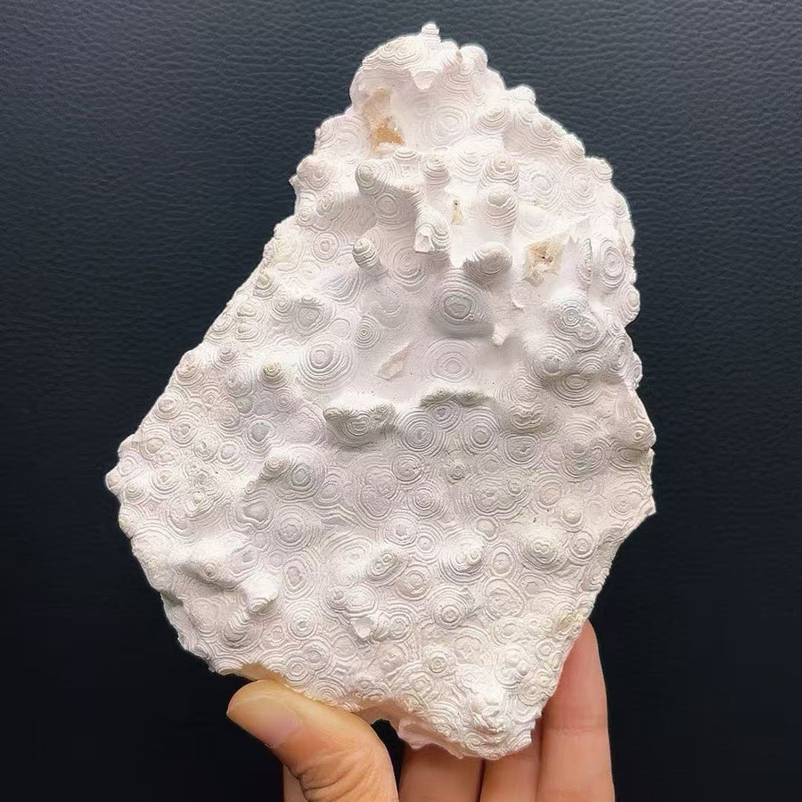 5A480G  High-Grade Mexican Banded Agate