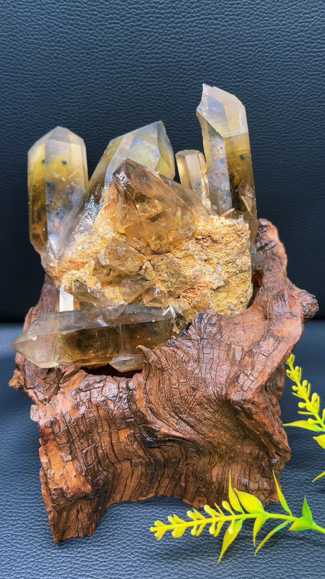 5A 1140G   Garden quartz Black Tourmaline Cluster