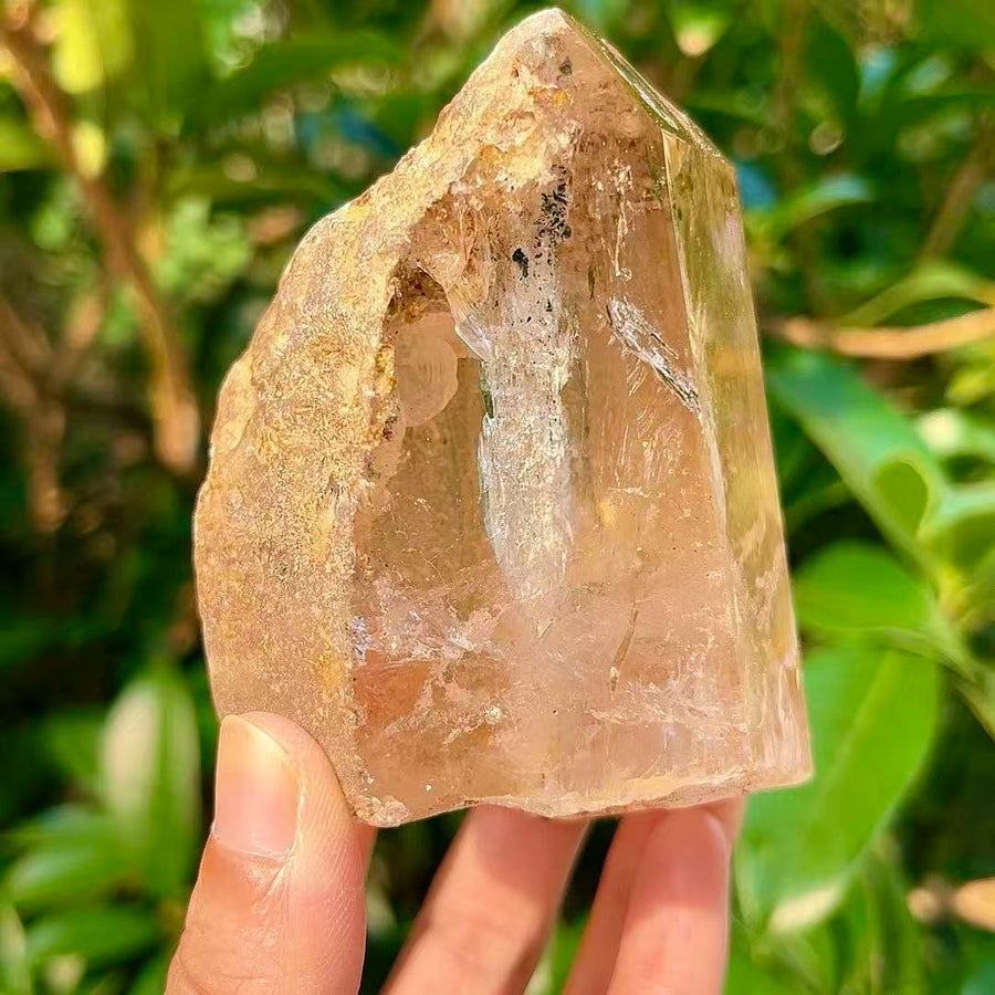 5A 610G  Clear Quartz Point with Golden Yellow Flower & Mountain-in-Mountain Inclusion