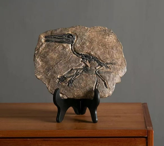 4 pcs Fossils total 180 usd and free shipping