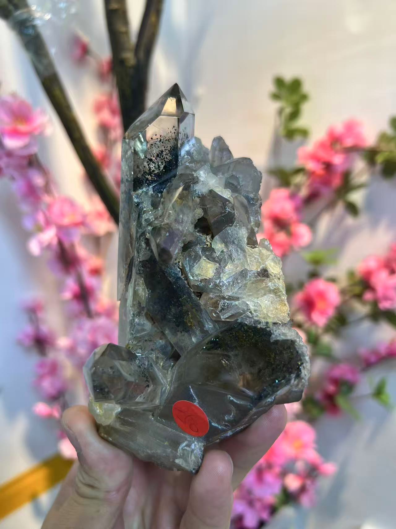 A00003 clear quartz with black mica crystal enclosure