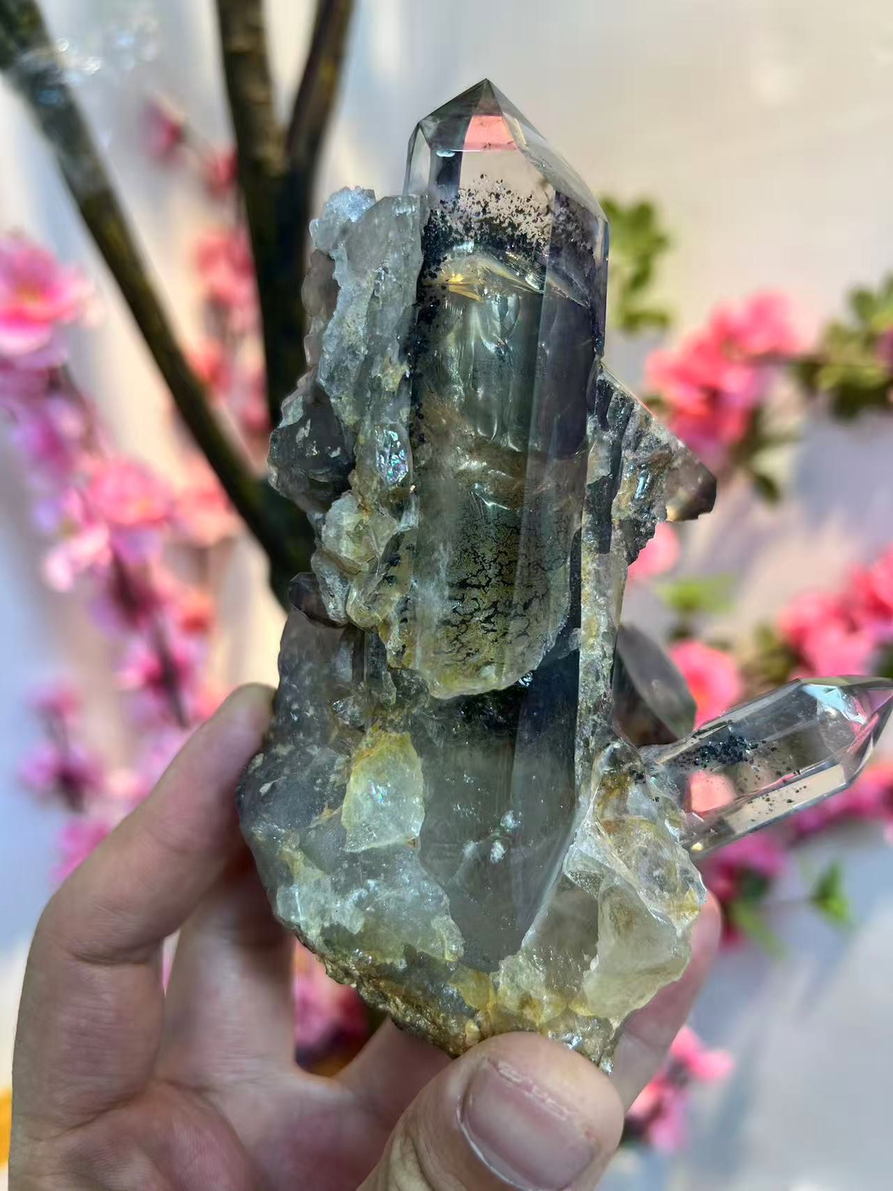 A00003 clear quartz with black mica crystal enclosure