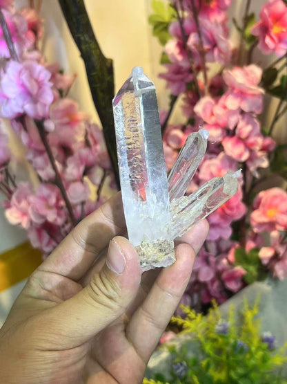 A00009 AA RARE Glassy Lemurian Quartz Cluster from Columbia, Self Standing Crystal Points