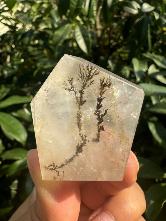 A00028 pretty natural dentritic tree golden healer freeform