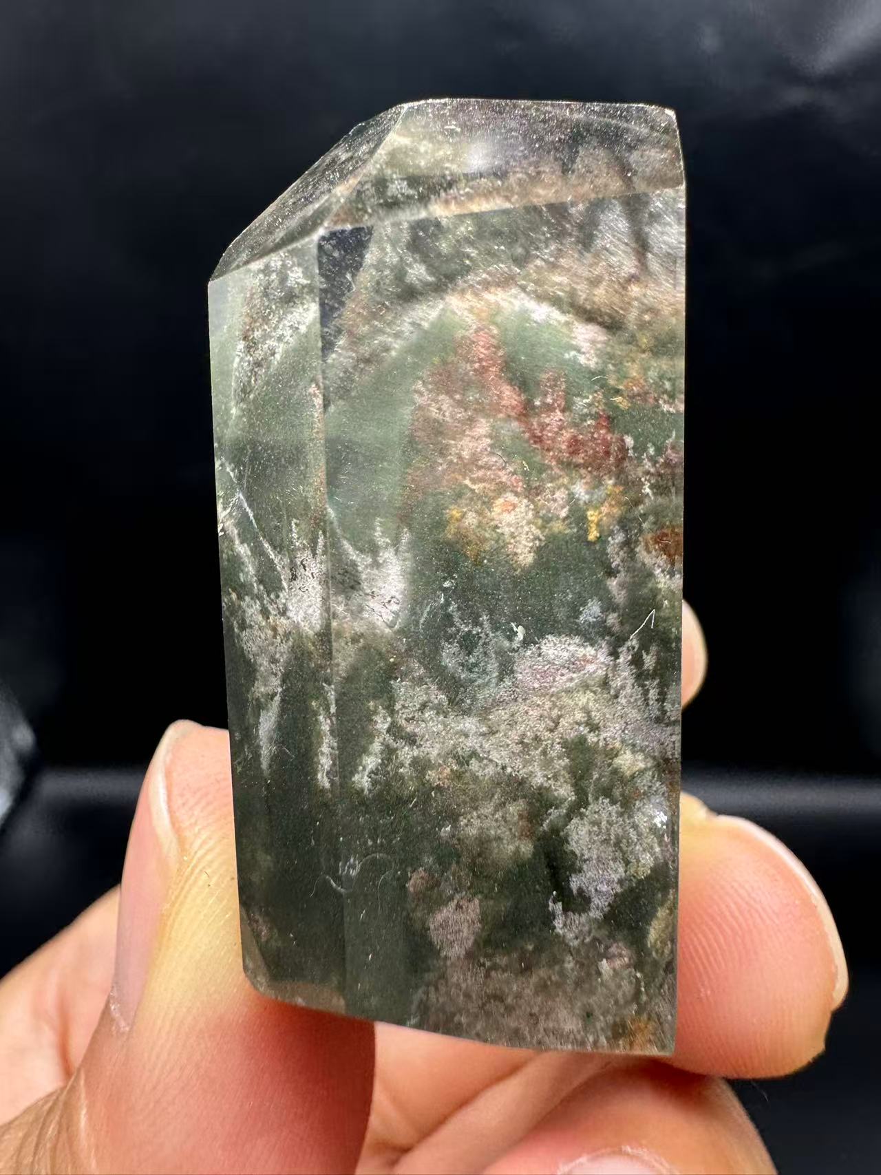 A00061 phantom thousand layer four season tree garden from brazil