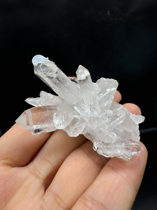 A00090 rare AAA clarity himalaya flower cluster (excellent )