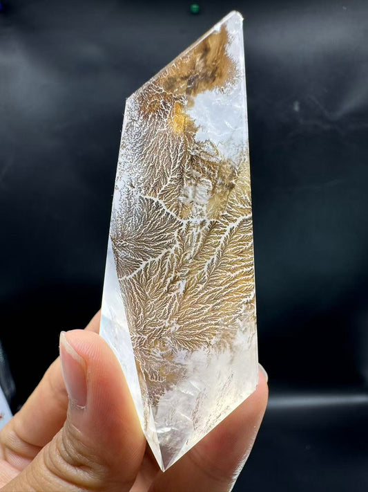 A00093 rare AAA dentritic tree excellent clear golden healer hand crystal