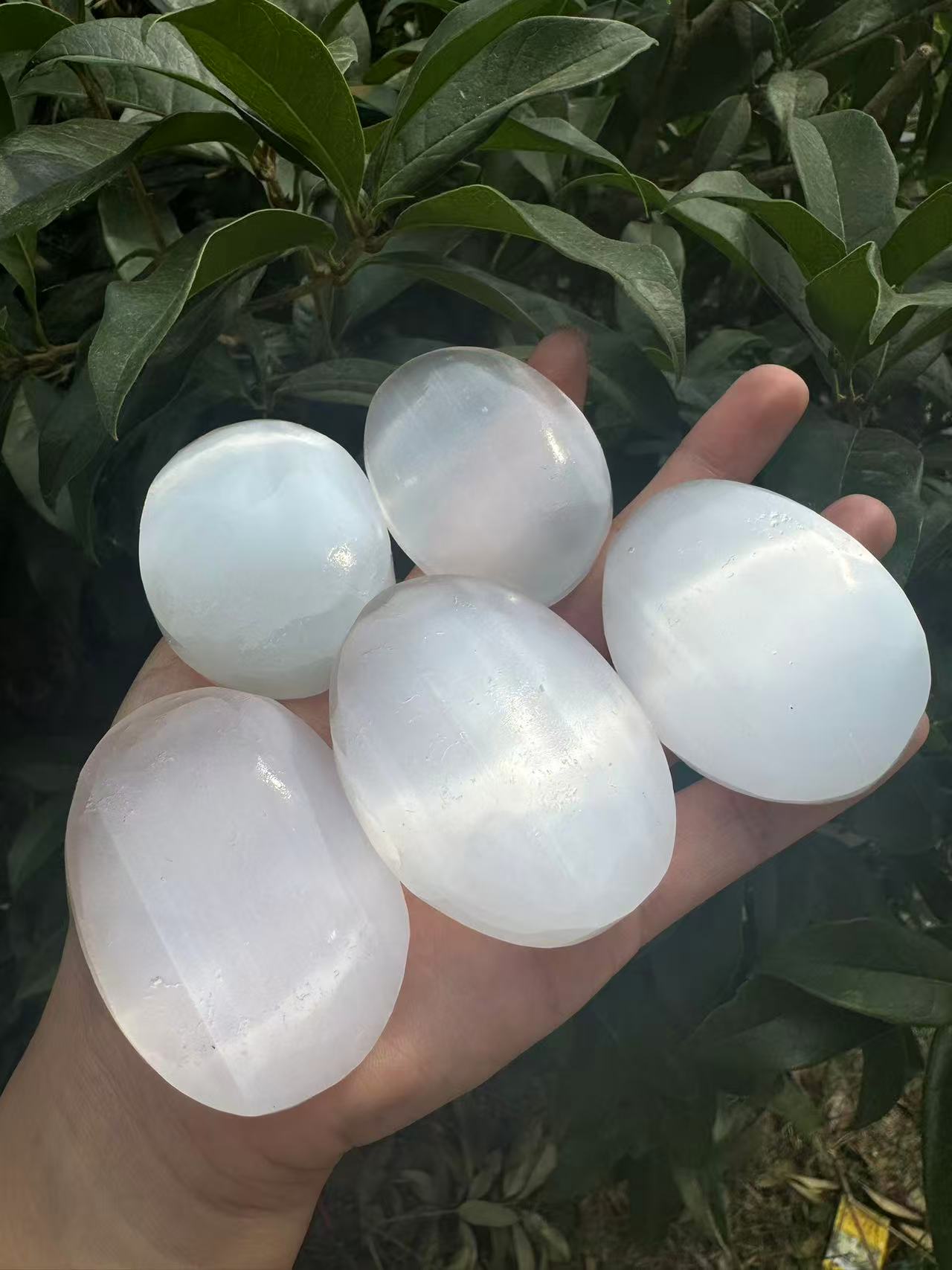 A00104 cat eye flash selenite palm (hand crystal)(cleanning crystal)