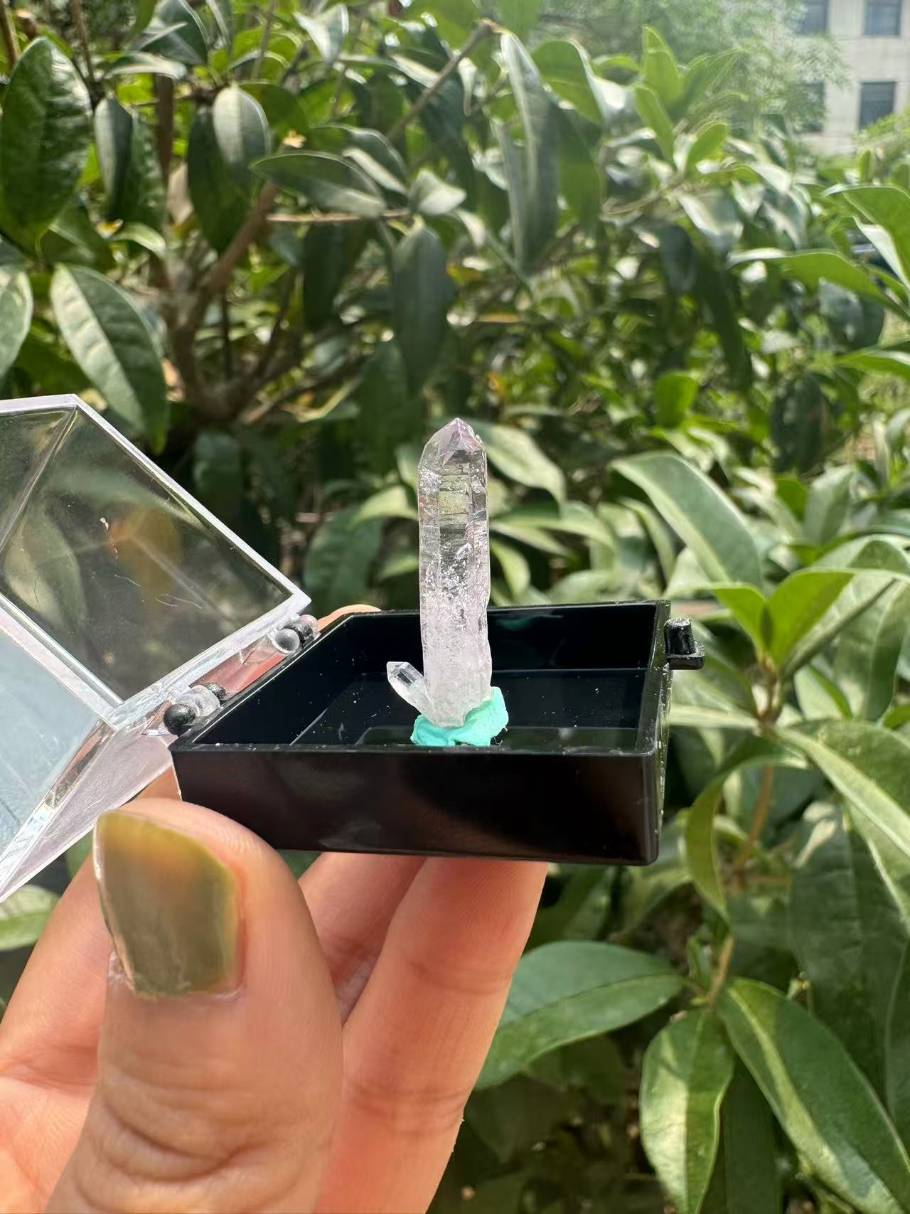 A00106 rare Cruze crystal point specimen (hand crystal )