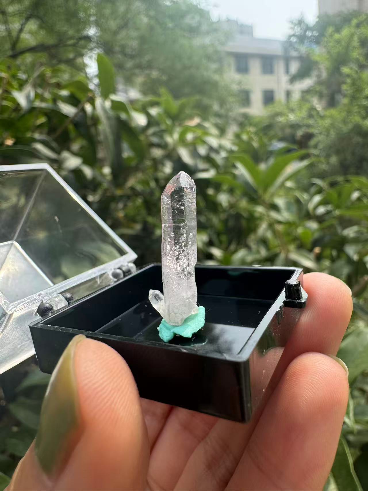 A00106 rare Cruze crystal point specimen (hand crystal )