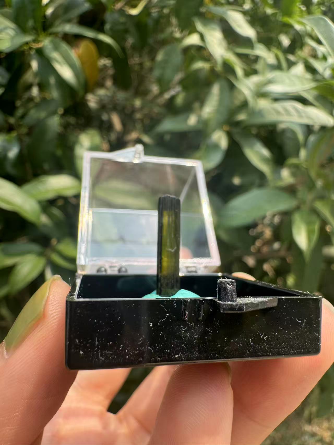 A00107 rare clear green tourmaline point (free box)