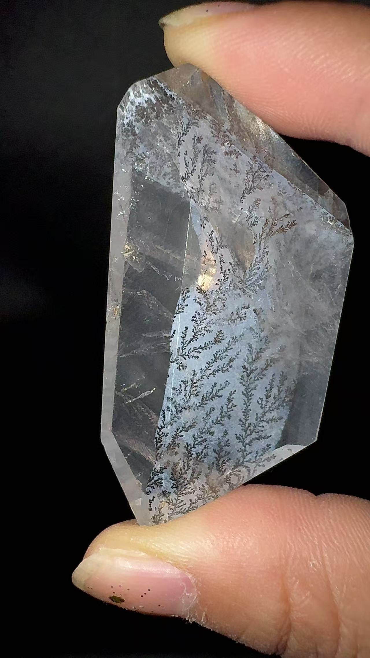 A00115 rare unique dentritic tree golden healer handcrystal