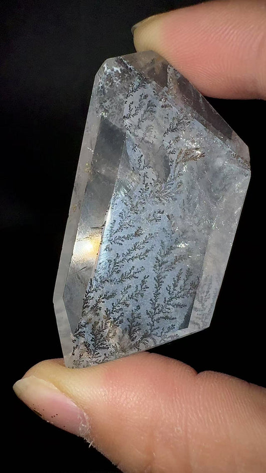 A00115 rare unique dentritic tree golden healer handcrystal